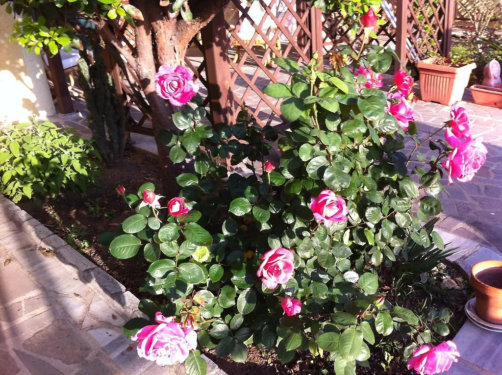 Bed and Breakfast Torre Del Pozzo S'Archittu Italia